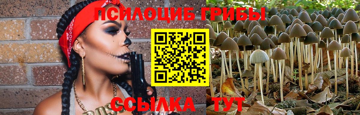 Псилоцибиновые грибы Magic Shrooms  Вход с VPN  Малоярославец  цена   Галлюциногенные грибы ЛСД 