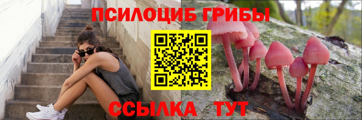 Галлюциногенные грибы мицелий Малоярославец